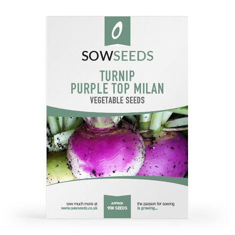 Turnip Purple Top Milan Seeds