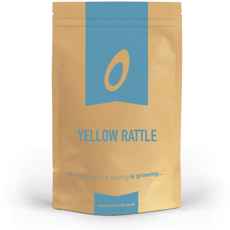 Yellow Rattle Sowing Yellow Rattle Seeds | Bulk Buy Available | Quick Delivery | Quality ...