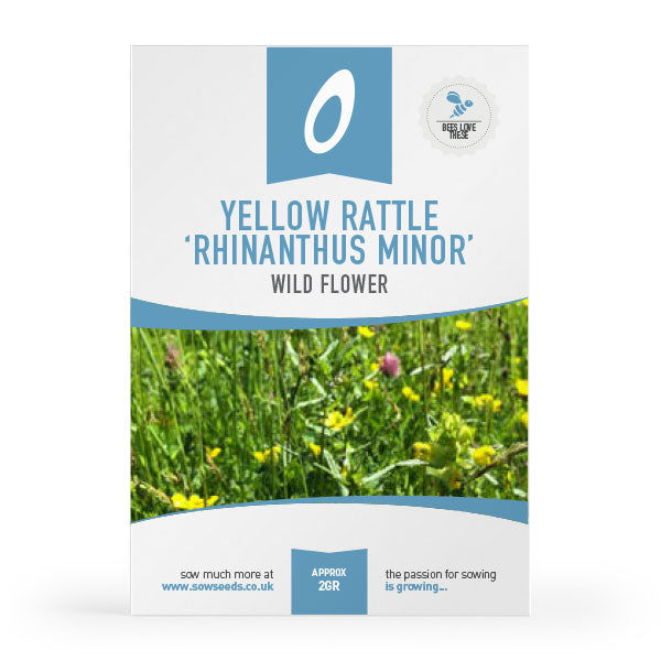 Yellow Rattle Seeds | Bulk Buy Available | Quick Delivery | Quality ...